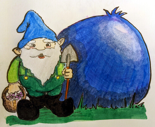 Gnome and his blueberry