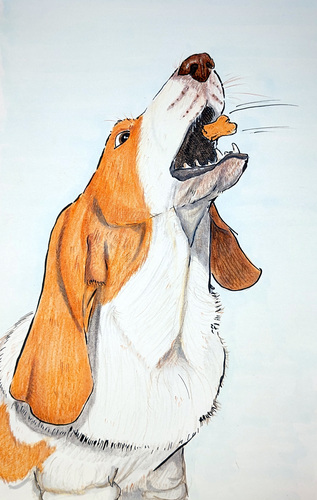 Harry catches his treat