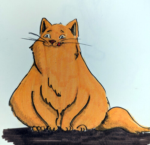 Cat, Orange